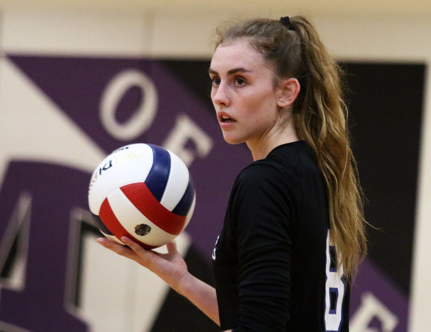 Freeburg def. Mascoutah 25-23, 25-21
